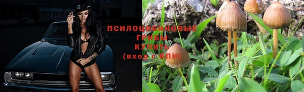 apvp Алексин