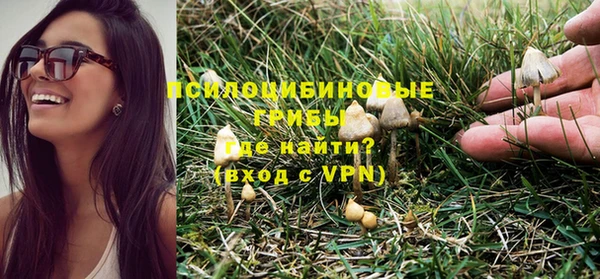стафф Алзамай